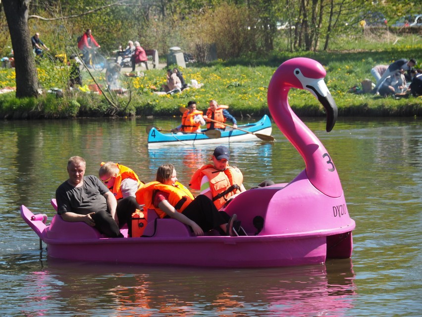 Za pieniądze z ŁBO kupiono rowery wodne - różowe flamingi-...