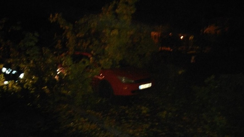 Na ul. Klonowej w Chełmku drzewo spadło na dwa samochody