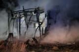 Pożar dwóch budynków w Dąbrówce Królewskiej pod Grudziądzem [zdjęcia i wideo]