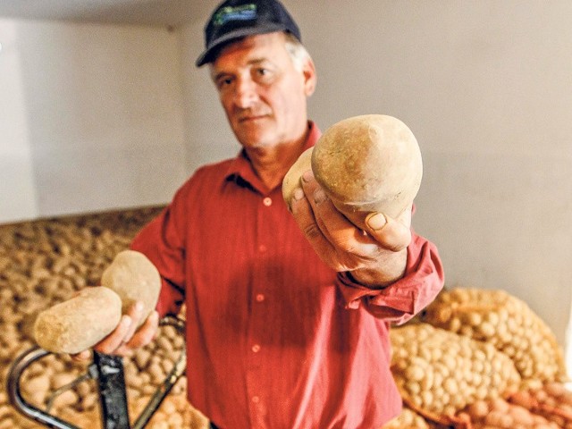 - Cena ziemniaków jest rzeczywiście bardzo niska. Produkuję jednak inne warzywa - mówi Jan Rejman, rolnik ze Strażowa.