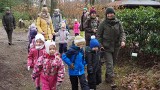 Wawrzynek w Arboretum w Karnieszewicach już kwitnie. To zwiastuje wiosnę!