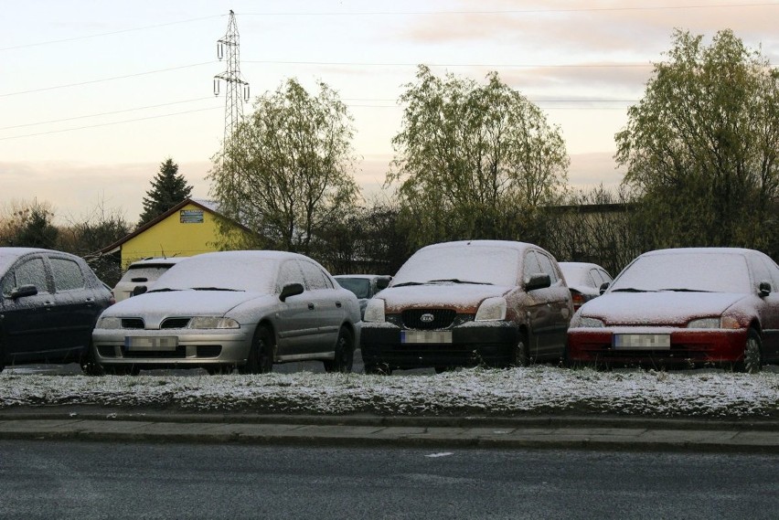 Zima w Łodzi. Spadł pierwszy śnieg [ZDJĘCIA]