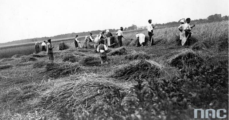 Porywające dzieci południce, płanetniki. Żniwa naszych dziadów