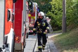 Pożar w mieszkaniu na ulicy Stawowej w Bydgoszczy. Ewakuowano mieszkańców. W akcji trzy zastępy strażaków