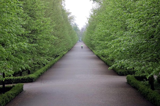 W miejscu gdzie planowany był miejski plac powstanie park.