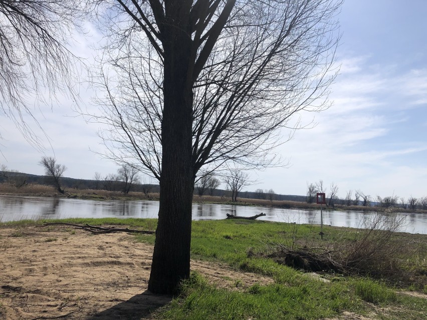 Przystań nad Odrą w Gostchorzu. Mieszkańcy wsi liczą, że...