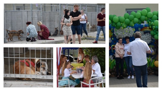 Trzecie urodziny Centrum Opieki nad Zwierzętami przy ul. Przytulnej w Grudziądzu.