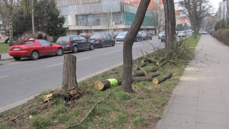 Wrocław: Wypadek na objeździe Curie-Skłodowskiej. Koło Politechniki ciężarówka uderzyła w drzewo