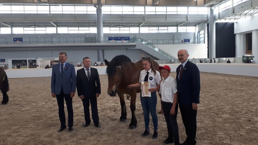 Wiktoria Cichosz z podmiasteckiego Dolska z klaczą Remusa z trzecim miejscem na Narodowej Wystawie Zwierząt Hodowlanych w Poznaniu (zdjęcia)