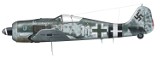 Odkryto wrak myśliwca Focke-Wulf Fw-190, jednego z najlepszych samolotów Luftwaffe