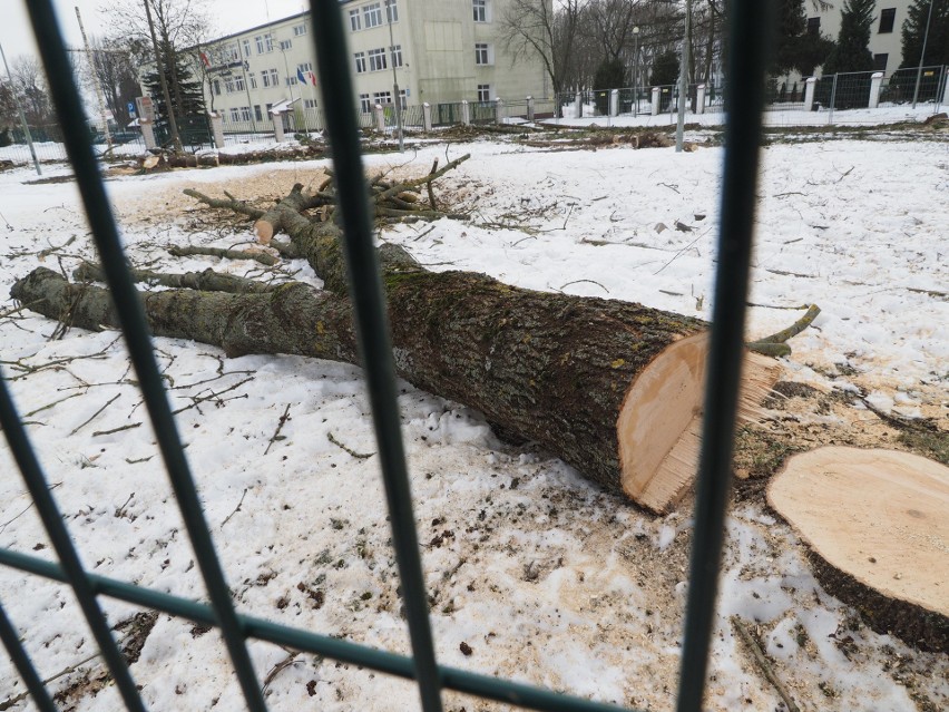 Teren przy ulicy Zwycięstwa ogołocono z niewielkiego...