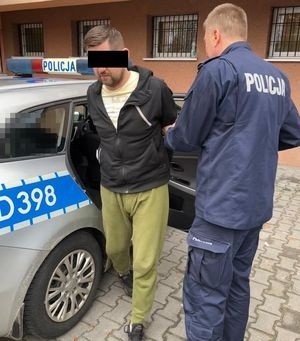 Powiat puławski. Tymczasowy areszt dla sprawcy wypadku w Sadłowicach