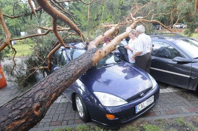 Takich obrazków na szczęście w powiecie grudziądzkim udało się uniknąć