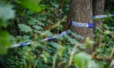 Niedaleko szpitala w Koninie znaleziono zwłoki. To może być zaginiony 65-latek. Ciało wytropiły psy policyjne