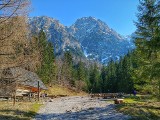 Tatry. Zobacz jak wygląda Dolina Strążyska po kwarantannie. To tam możemy legalnie wejść 