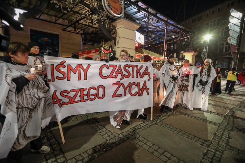 "Marsz Duchów Drzew" w Szczecinie. Happening przeciwko wycince drzew [WIDEO, ZDJĘCIA]