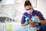 Czym jest stomatologia zachowawcza?              