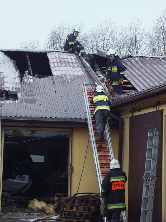 Pożar magazynu pod Bełchatowem. Spłonął dach i linia do produkcji ogórków [ZDJĘCIA]
