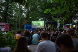 Nowe kino plenerowe we Wrocławiu. Pierwszy seans już w tę niedzielę 