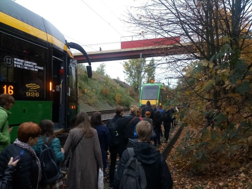 Tramwaje na PST stanęły, ponieważ jednej z bimb zasłabł...