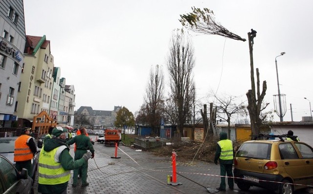 Wycinanie drzew spowodowało, że parking przy Wyszyńskiego był przynajmniej w połowie zajęty, nie przez samochody a przez robotników