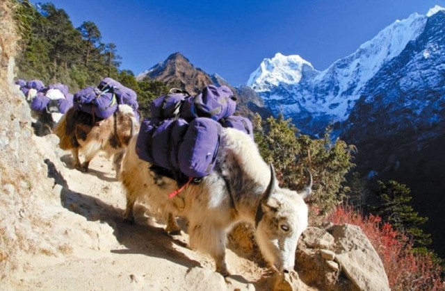 Ciekawi Świata z Nepalu w Famie