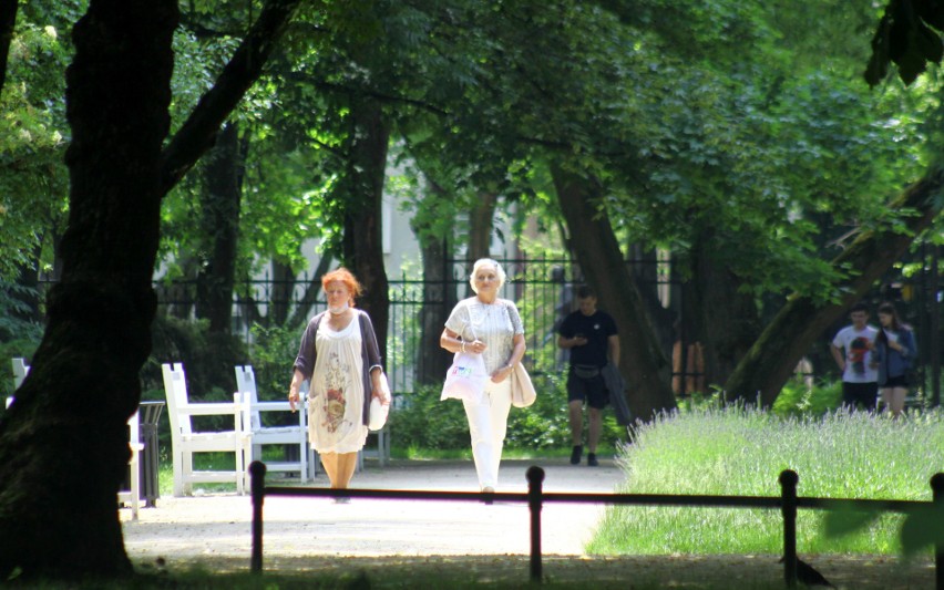 Ogród Saski w Lublinie. Wróciło słońce, lublinianie odpoczywają wśród drzew. Zobacz zdjęcia