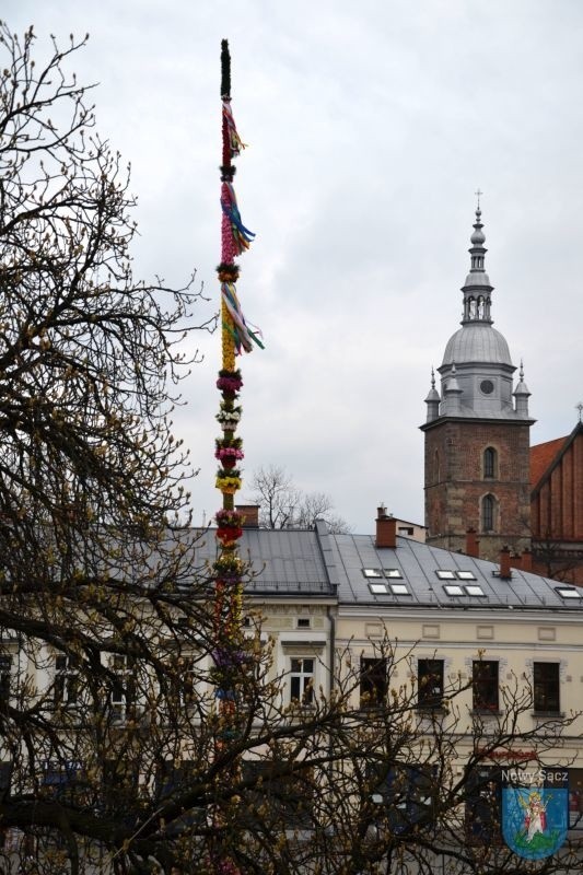 Nowy Sącz. Wielkanocna palma stanęła przed ratusza [ZDJĘCIA]