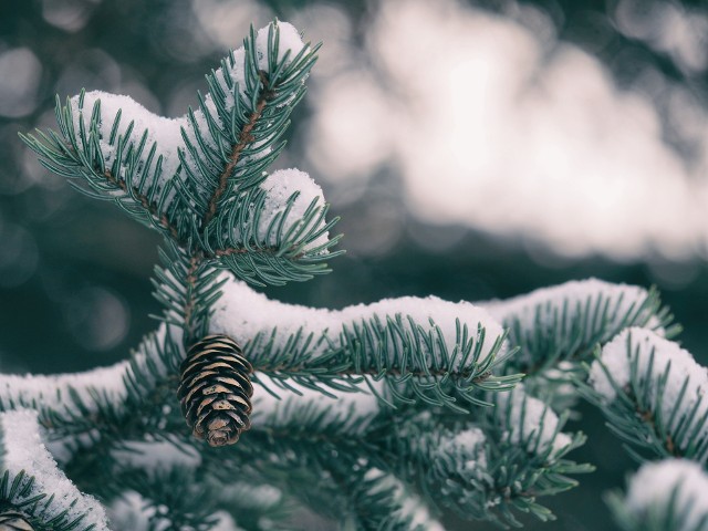 Czy na święta spadnie śnieg?