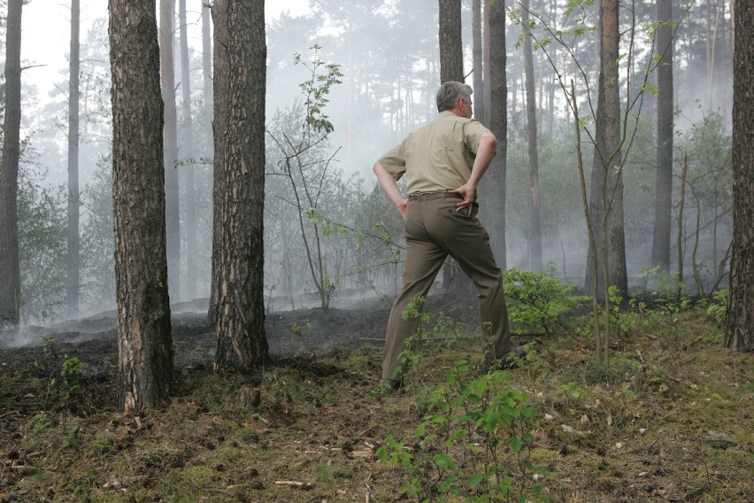 Ogień objął około trzy hektary lasu.