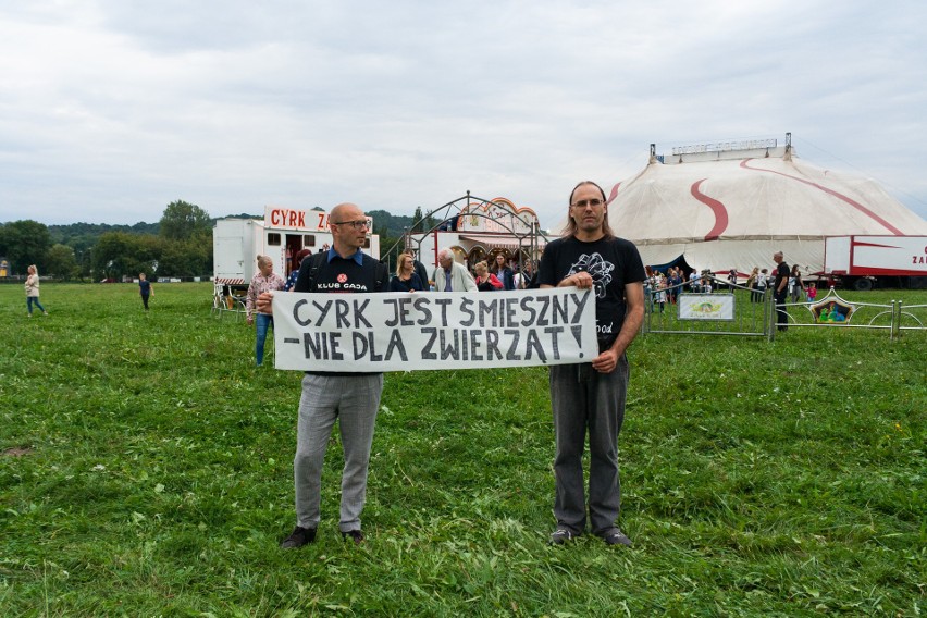 Cyrk jest śmieszny? Nie dla zwierząt. Krakowianie protestują przed Cyrkiem Zalewski [ZDJĘCIA]