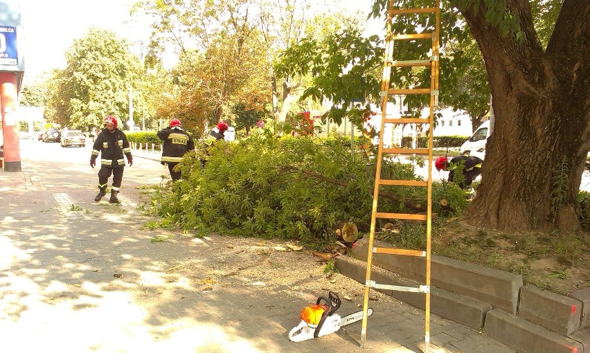 Strażacy usuwali niebezpieczne gałęzie