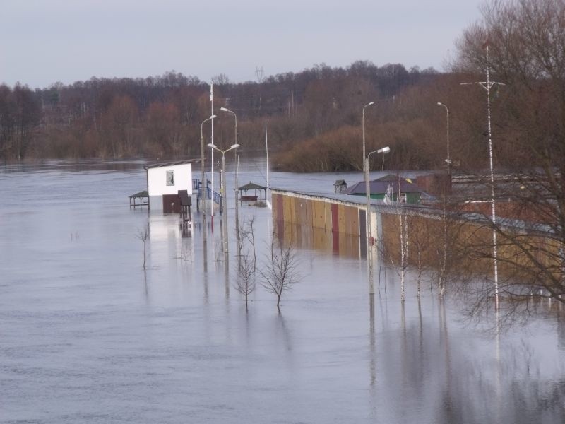 Narew 10.02.2011