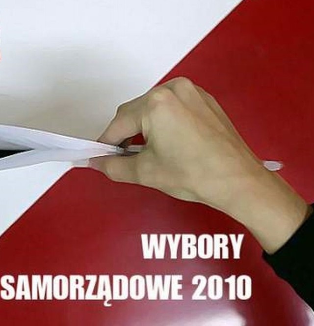 Wybory samorządowe 2010 wyniki