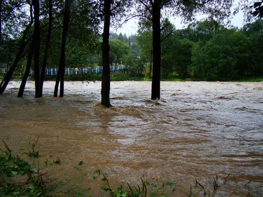 Raba wystąpiła z brzegów, zalała park, zagroziła nawet...