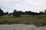 Gmina Miastko mogłaby sprzedać działki w Świeszynie, ale potrzebna jest droga (ZDJĘCIA) 