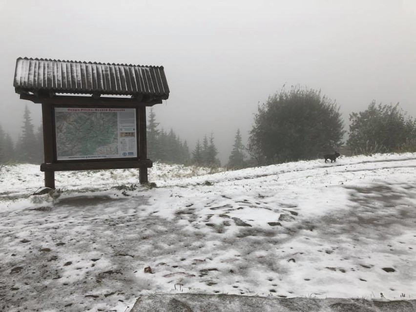 Pierwszy śnieg w Beskidach w tym roku spadł wyjątkowo szybko