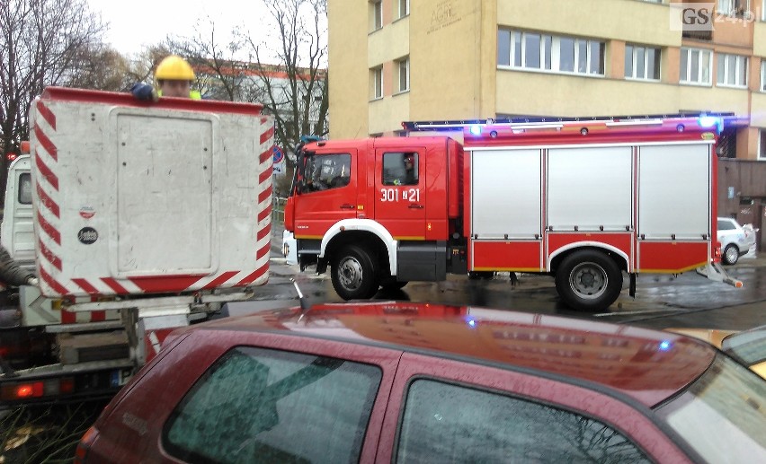 Wichura nad Szczecinem [4.03.2019 r.] Drzewa łamały się jak zapałki [WIDEO, ZDJĘCIA]