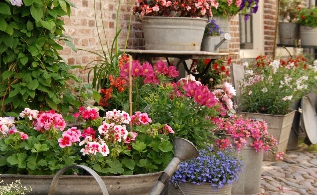 Różne stare naczynia i pojemniki warto wykorzystać do posadzenia kwiatów. Dzięki temu nasz ogród lub balkon zyska bardzo oryginalny wystrój.