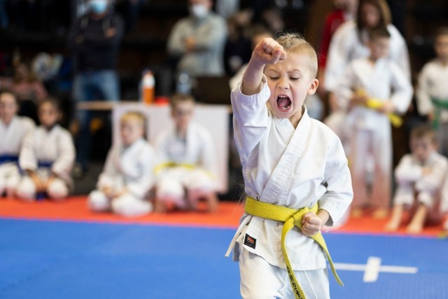 XVI Turniej Mikołajkowy i Festiwal Karate-Do w Hali 100-lecia KS Cracovia