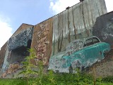 Nowy Sącz. Uszkodzony mural na ul. Łokietka wymaga solidnego remontu. Jest szansa na lifting? Wideo i zdjęcia 