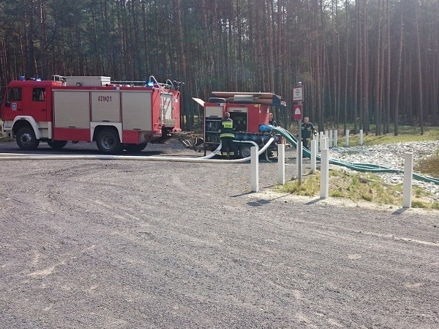 Ćwiczenia straży pożarnej w lesie koło Przyborowa.