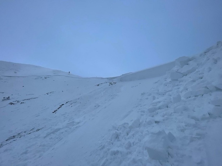 Tatry Słowackie. Specjalnie wywołali lawinę. Zobaczcie, jak zwały śniegu mkną z wielką prędkością [FILM, ZDJĘCIA]