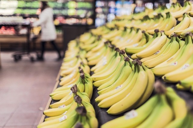 Ceny bananów wzrosną. Powodem tego jest grzyb atakujący plantacje bananowców.