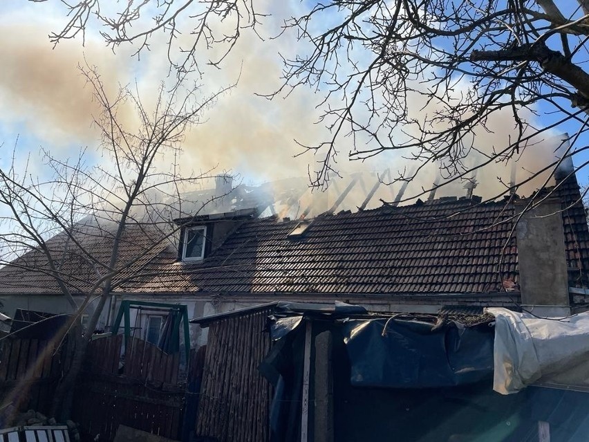 Pożar domu w Maciejewie. Rozpoczęła się akcja pomocy pogorzelcom