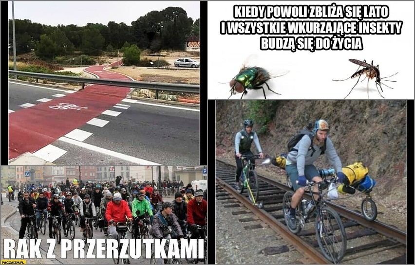 Cykliści, rowerzyści, użytkownicy hulajnóg elektrycznych czy...