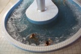 Aquapark Suwałki odstresuje maturzystów