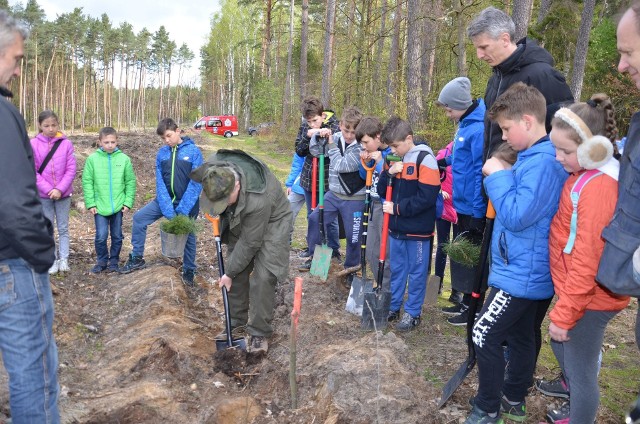 Akcja ekologiczna „Nie siedź - posadź drzewo, zmieniaj świat na lepsze" w gminie Wołczyn.