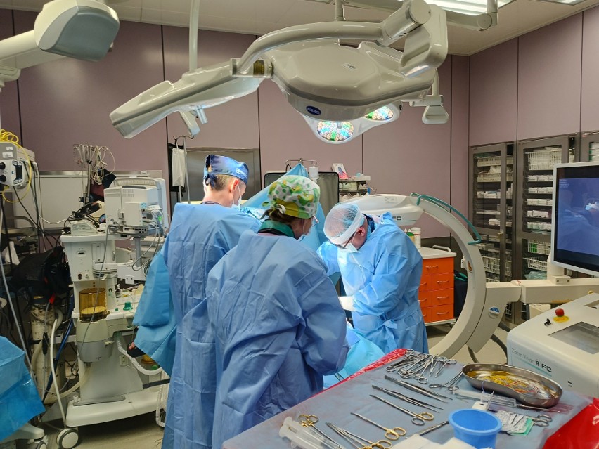 Świetne wyniki oddziału chirurgii naczyniowej w szpitalu w Radomiu. Wszczepiono już dwusetny stentgraft