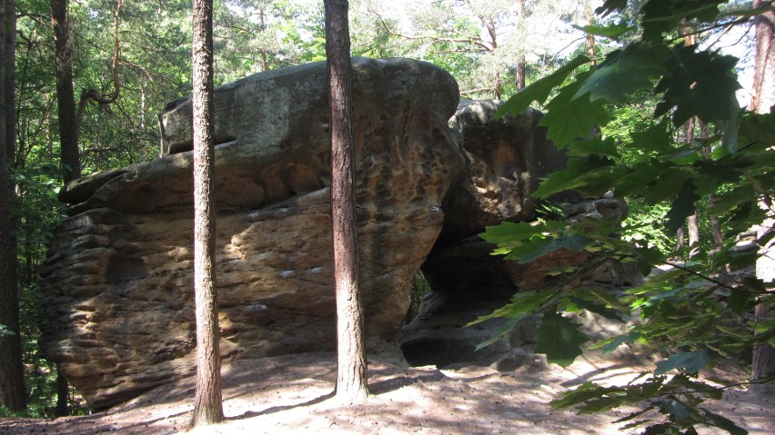 Rezerwat przyrody “Kamienie Brodzińskiego”
